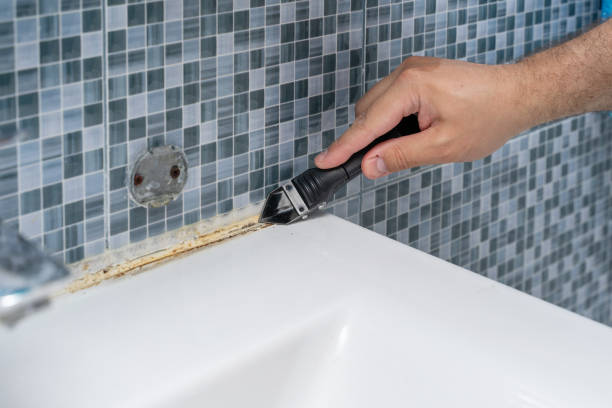 Pine Canyon, CA Mold Remediation Company